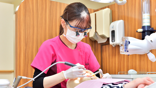 予防歯科・定期検診 - 三瀬歯科医院（松山市・松山市駅）